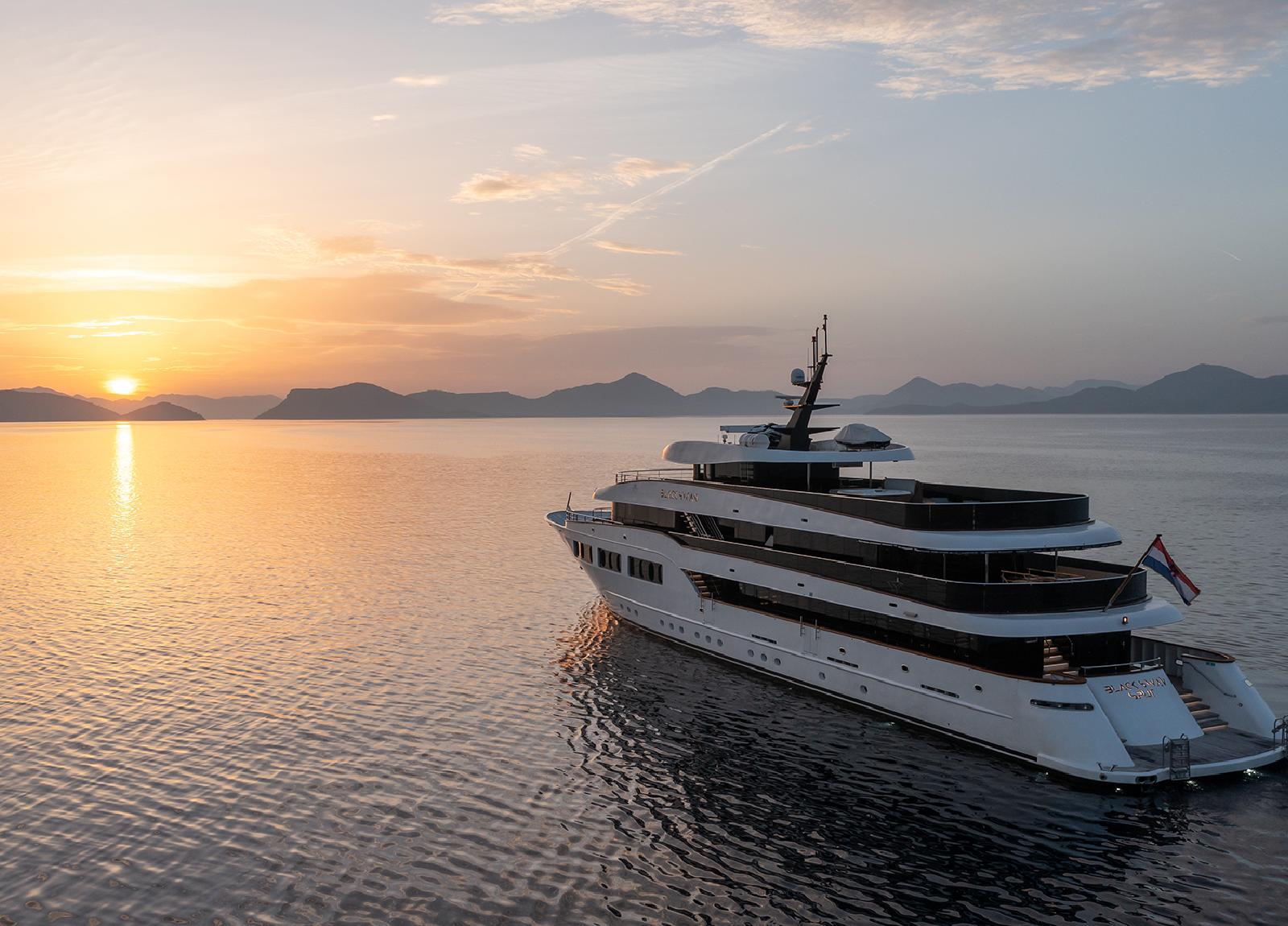 Black-swan-side-view