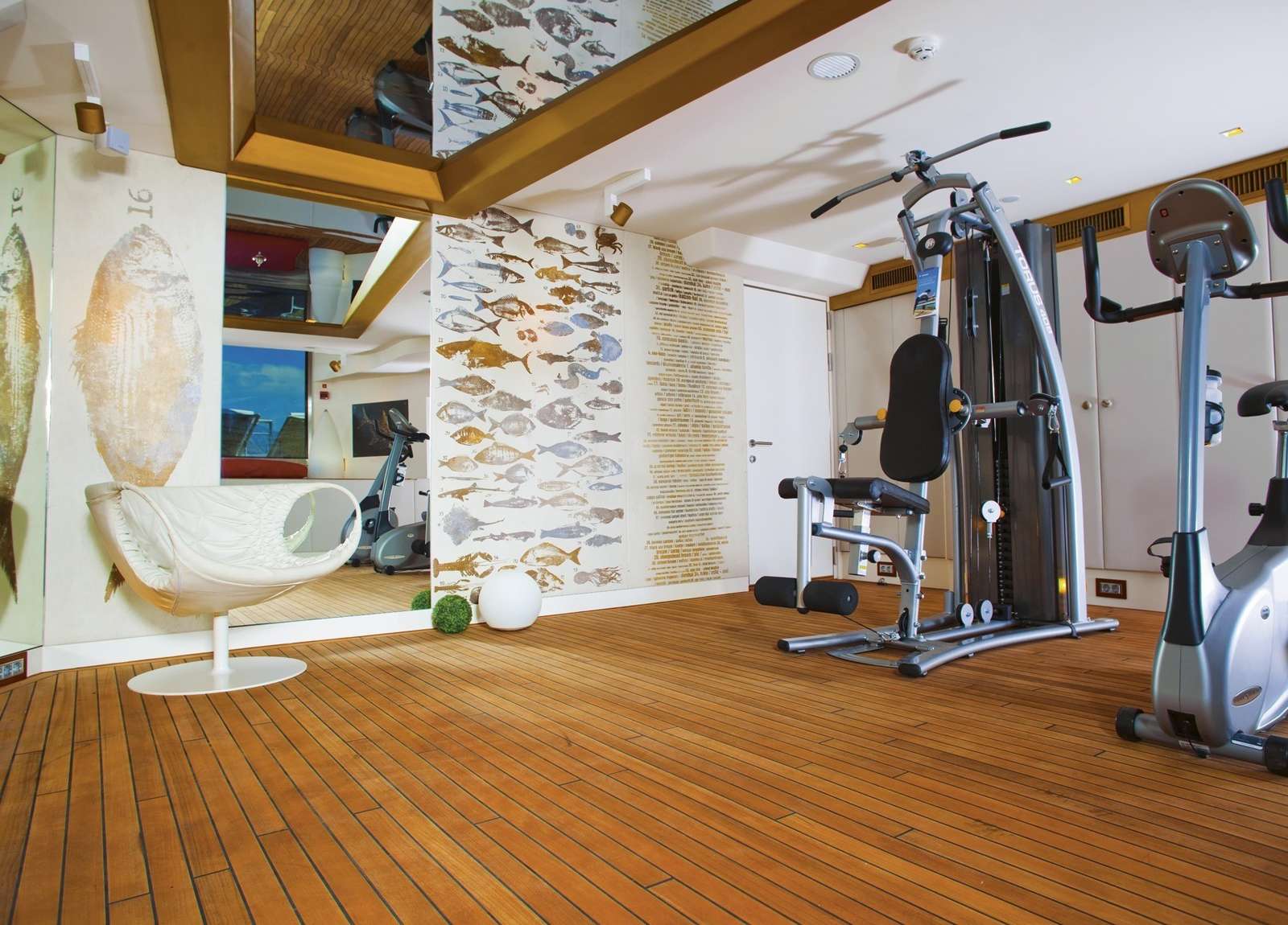 gym-luxury-yacht-charter-sceptre-yacht-50m-joyme-western-mediterranean
